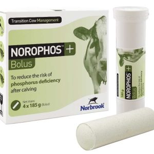 Norophos + Bolus