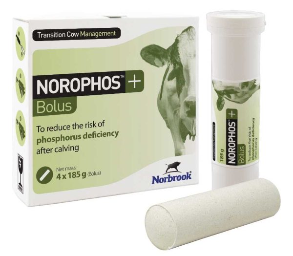 Norophos + Bolus