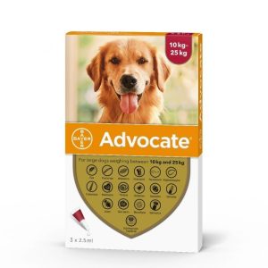 Advocate