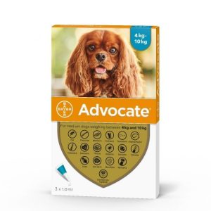 Advocate