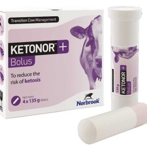 Ketonor + Bolus