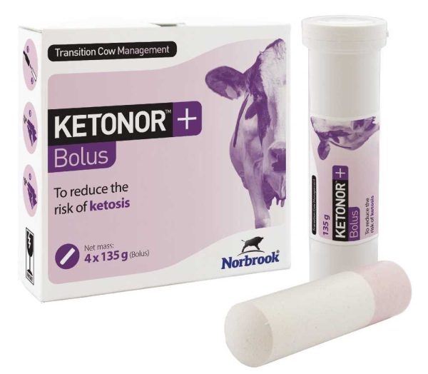 Ketonor + Bolus