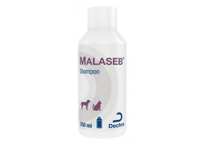 Malaseb Shampoo