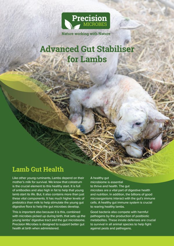 Precision Microbes Advanced Gut Stabiliser for Lambs 300ml - Image 3