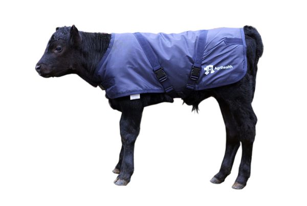 Agrihealth Calf Jacket 24'' Navy Medium