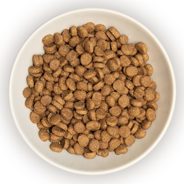 Burns Kitten food Chicken and Rice 1.5kg - Image 2