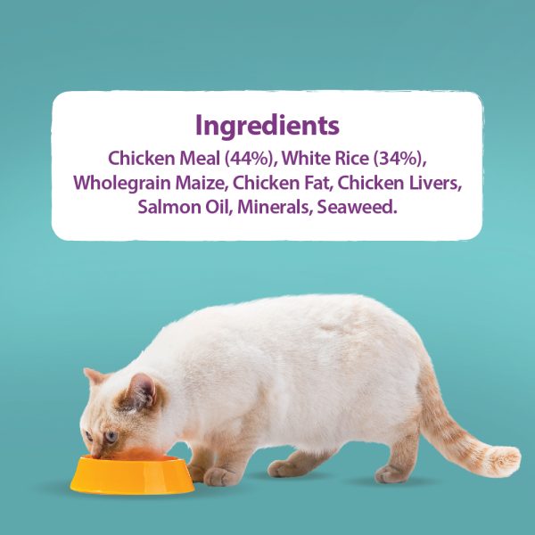 Burns Kitten food Chicken and Rice 1.5kg - Image 4