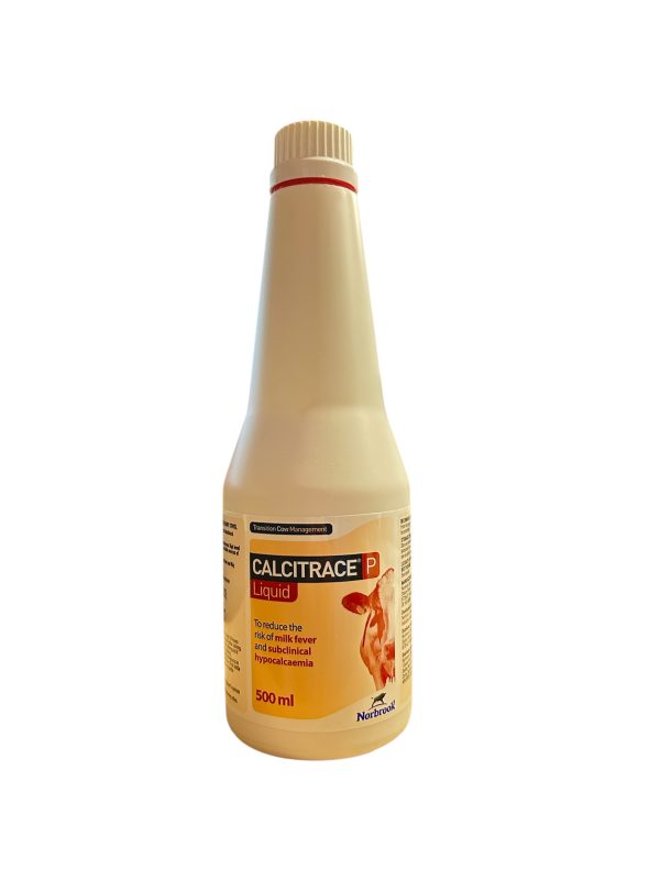 Calcitrace P Liquid 500ml by Norbrook