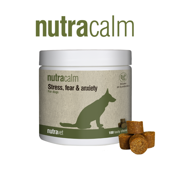 Nutracalm Chews - Tasty Chews for Quickly Reducing Stress, Fear & Anxiety