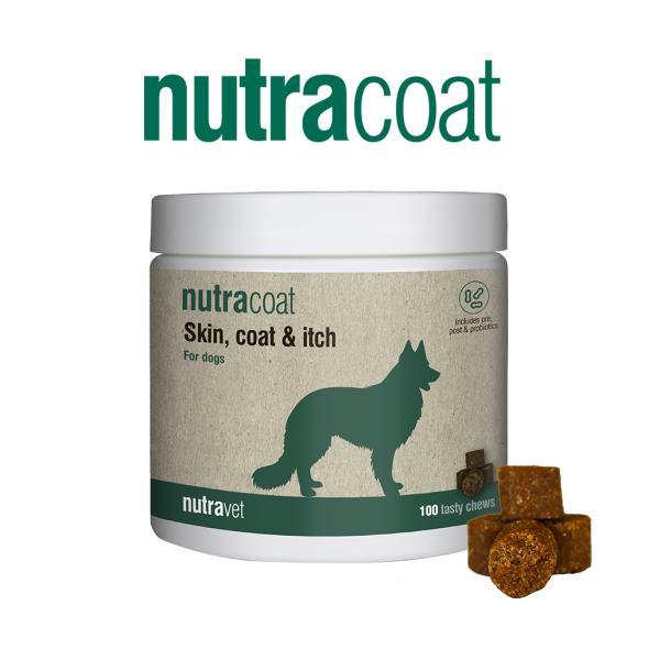 Nutracoat – dry, flaky & itching skin – Chews